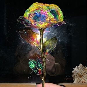 Meet your Posher, Bryn